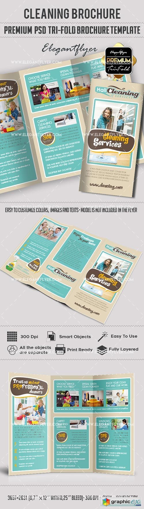 Cleaning Services  Premium Tri-Fold PSD Brochure Template