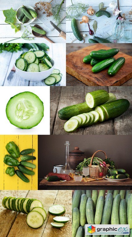 Fresh Cucumber - 10 x JPEGs
