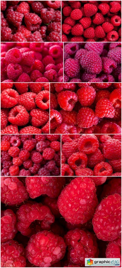 Raspberry background 9x JPEG