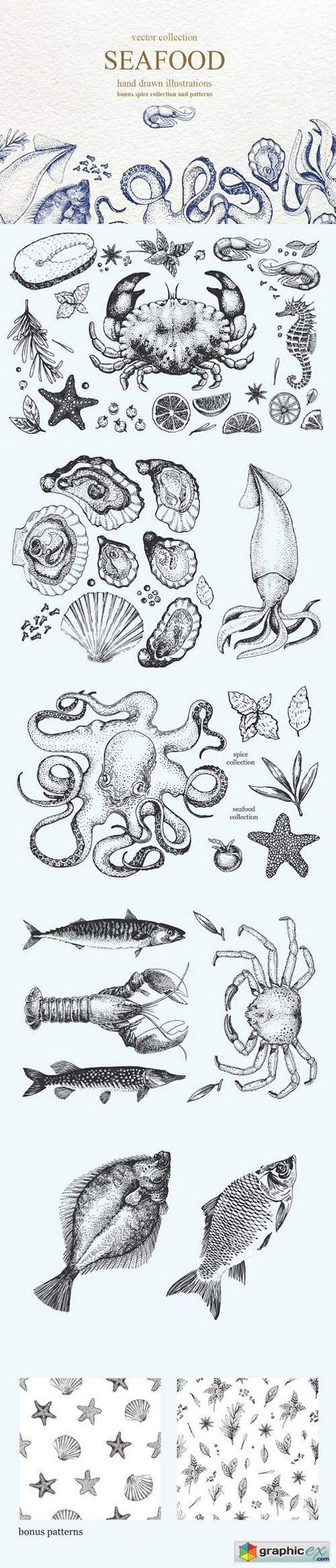 Vector seafood collection