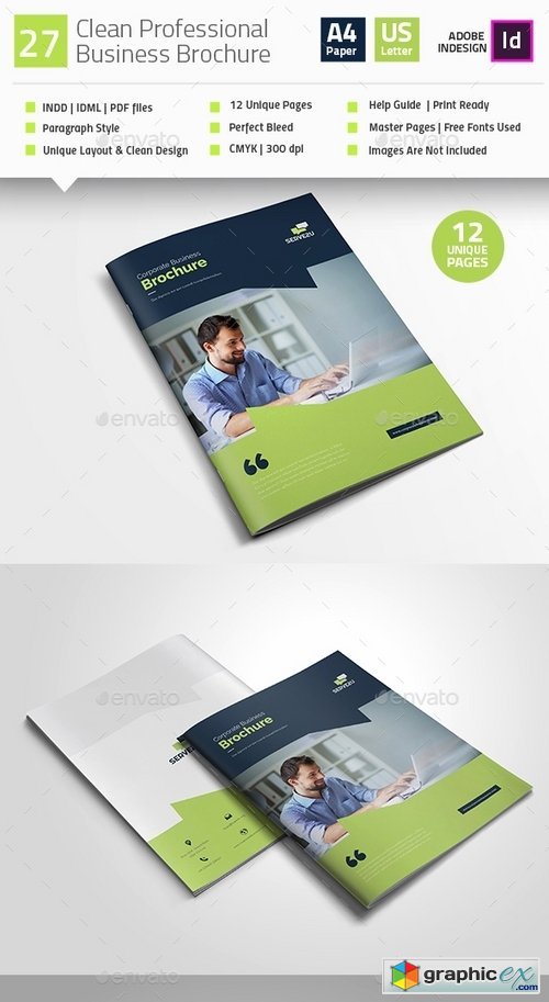Professional Business Brochure V35