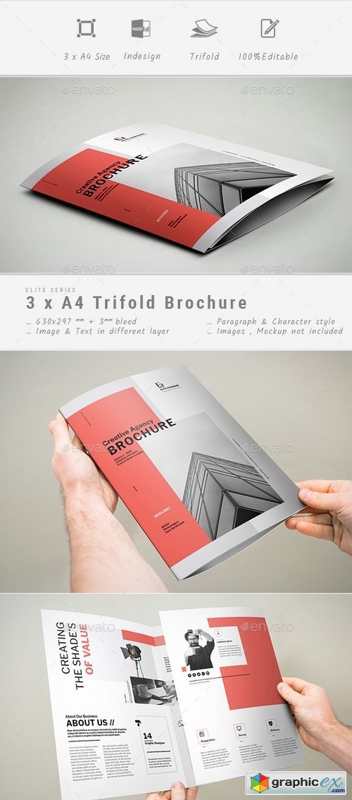 Trifold Brochure 19453459