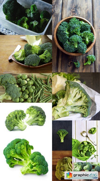 Fresh Broccoli - 11 x JPEGs