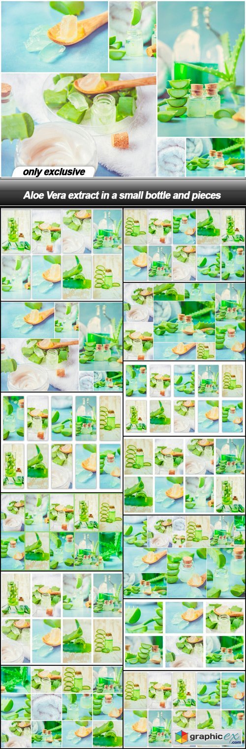 Aloe Vera extract in a small bottle and pieces - 13 UHQ JPEG
