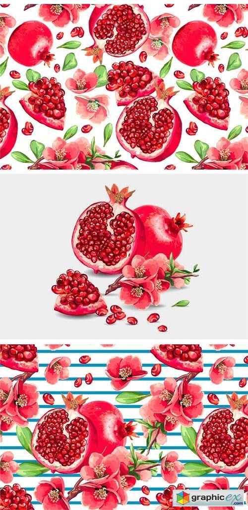 Set of Pomegranate Fruit and Flowers