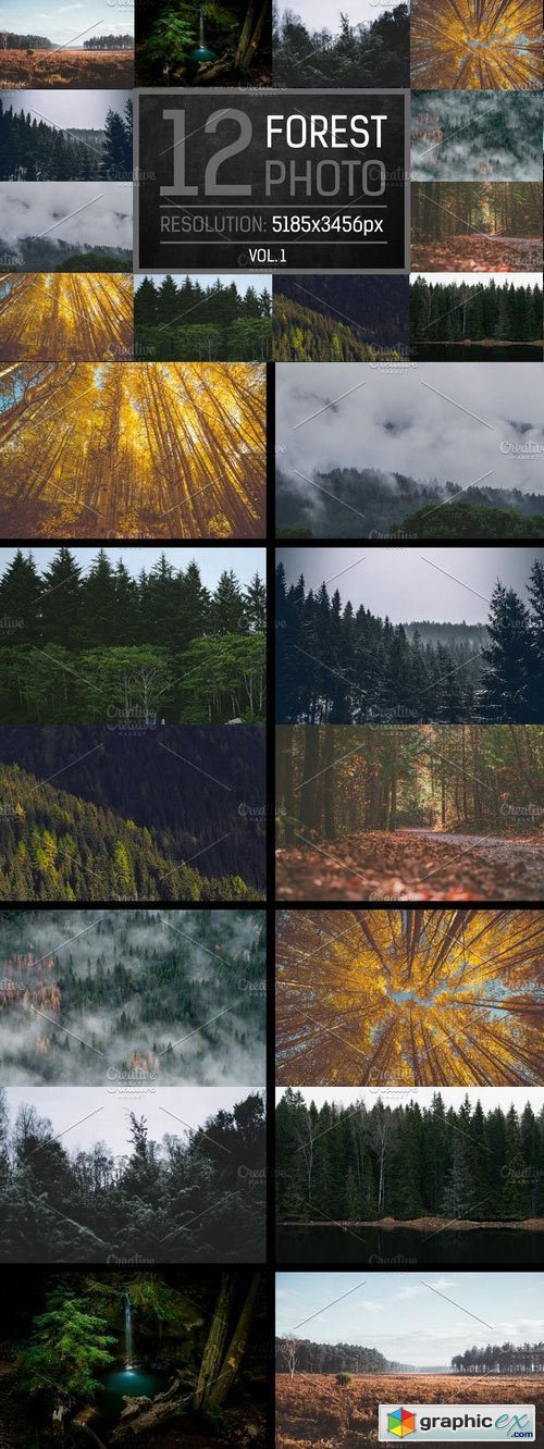 12 Forest Photo Vol.1