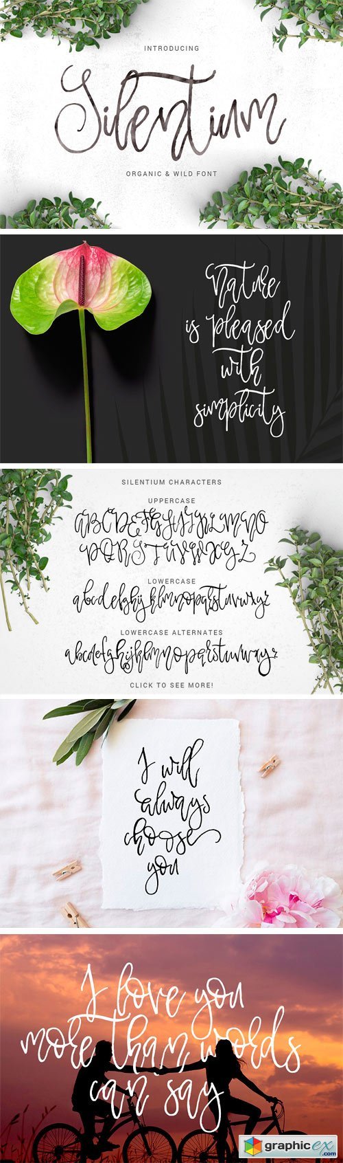 Silentium - Calligraphic Font