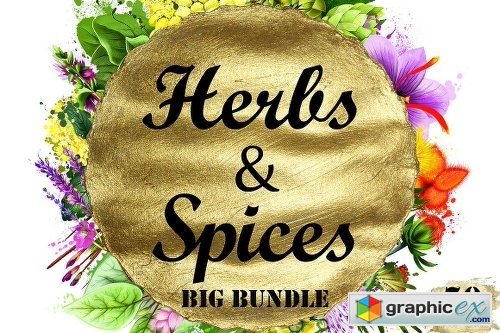 Herbs & Spices big bundle - 70pcs