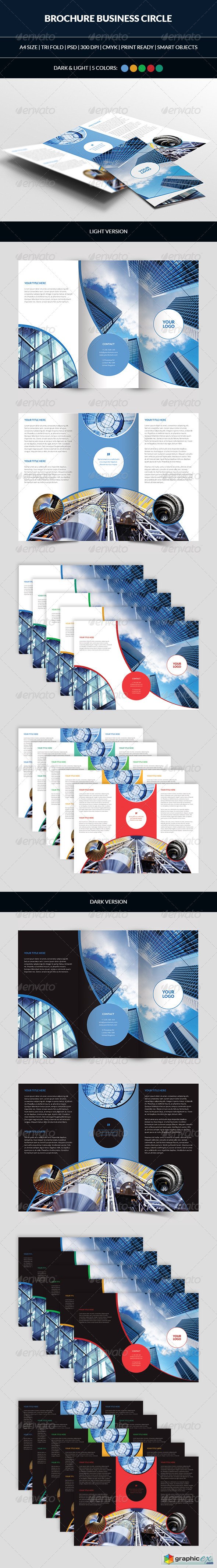 Brochure Business Circle Tri Fold