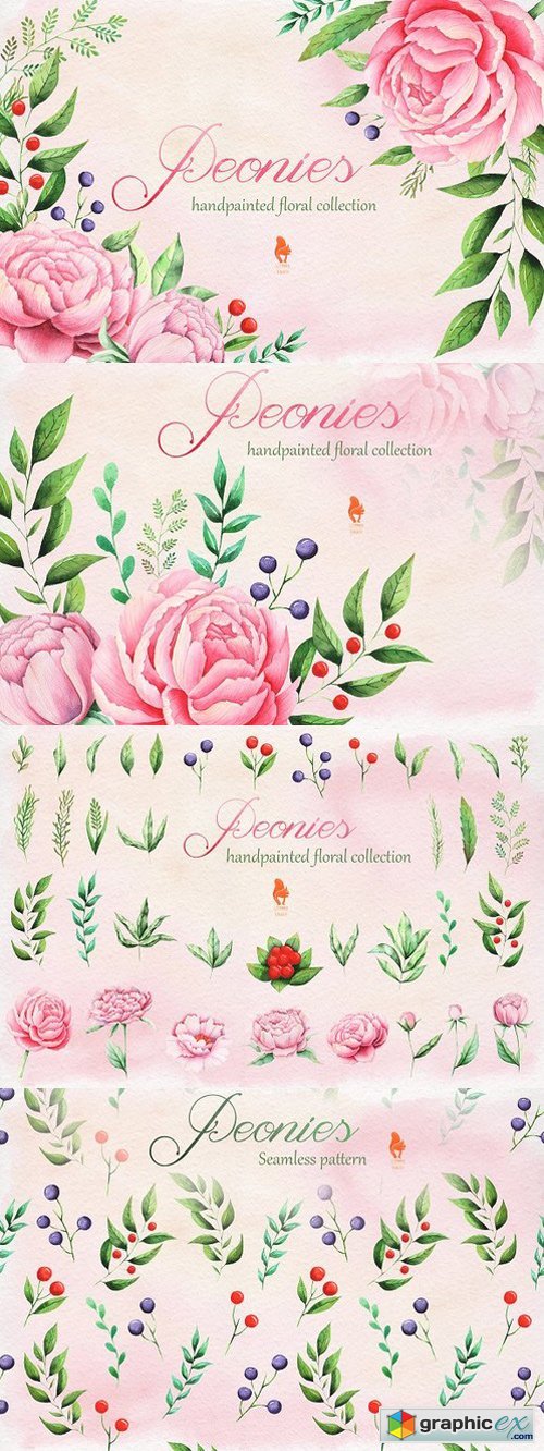 Peonies, Watercolor collection