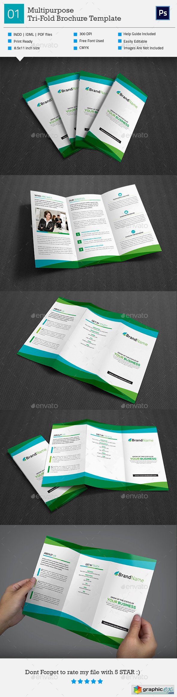 Multipurpose Tri-Fold Brochure_V1