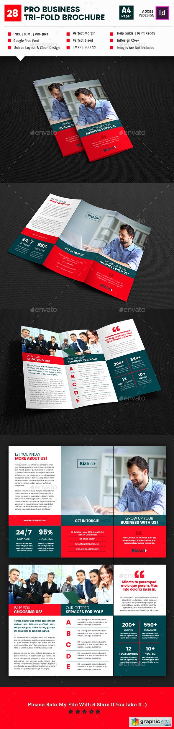 Pro Business Tri-Fold Brochure V02