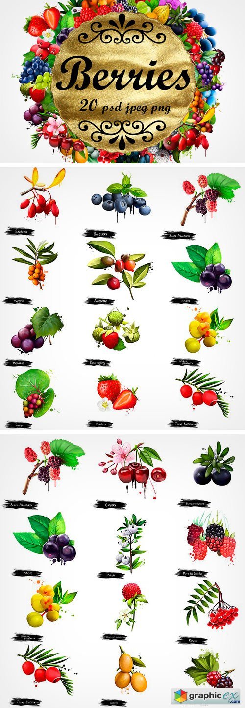 Berries Digital Art Collection 2