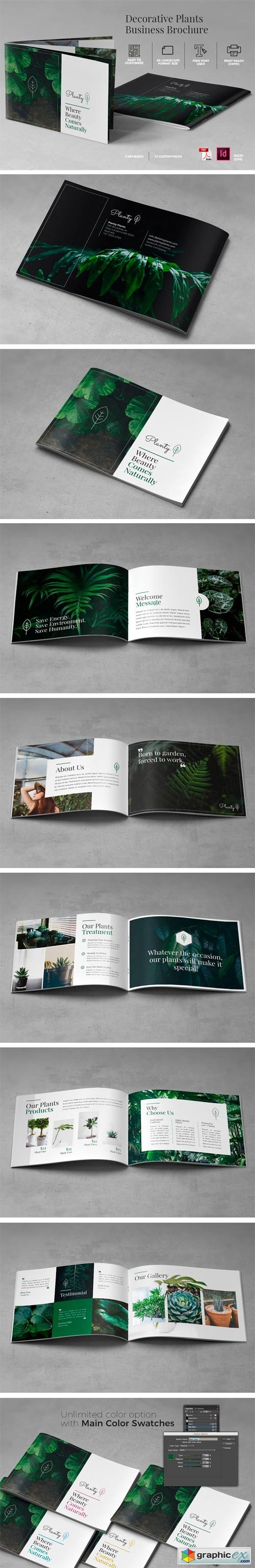 A5 Decorative Plants Brochure