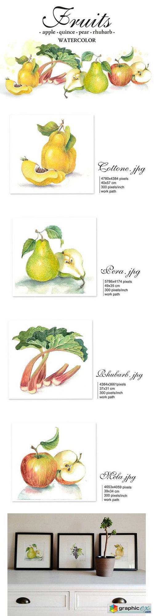 Set of 4 watercolor &quot;Fruits&quot;