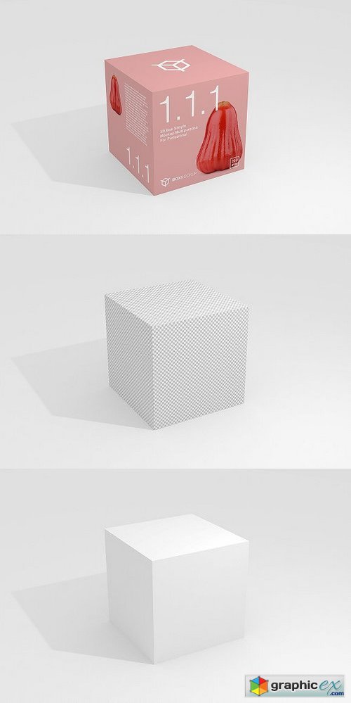 1.1.1 Simple 3D Box Mockup