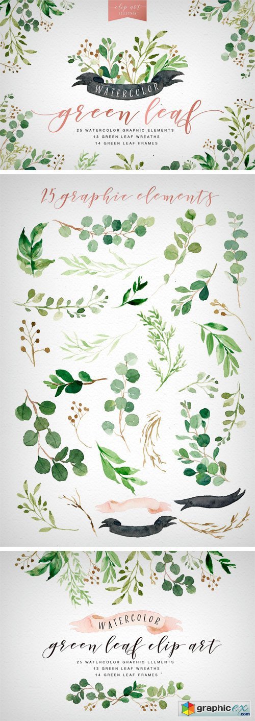 Watercolor Green Leaf Clip Art