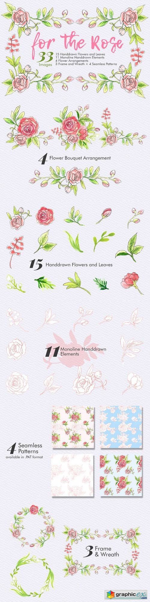 For The Rose - Handdrawn Flowers