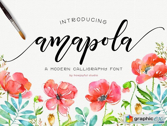 Amapola script font