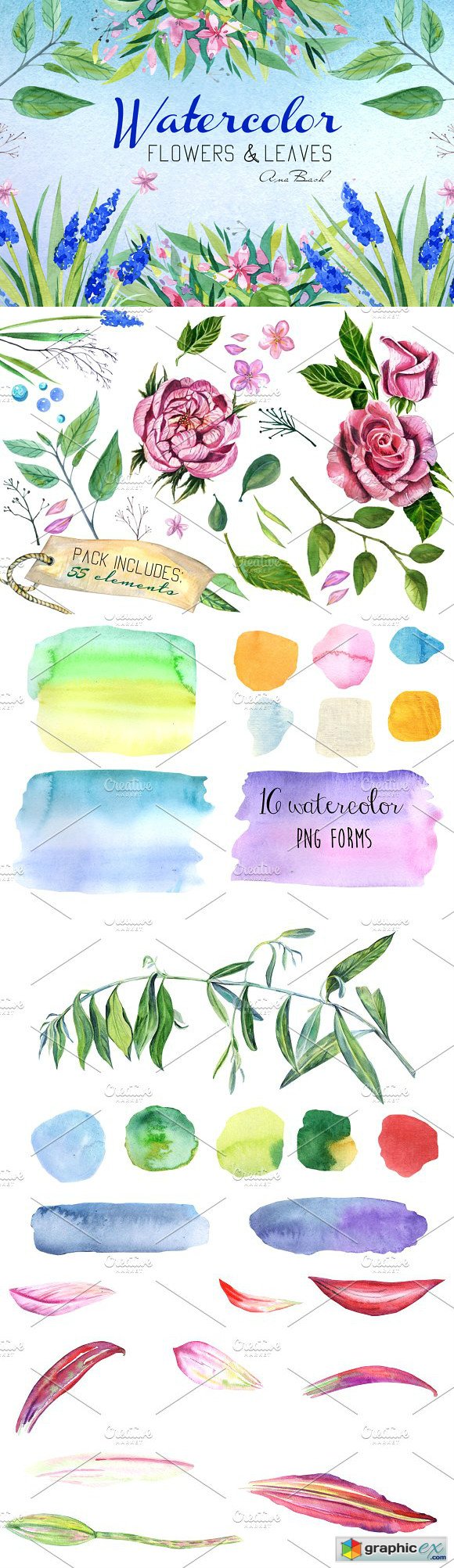 Watercolor hand painted florals kit