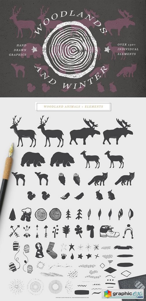 Woodlands & Winter Illustrations