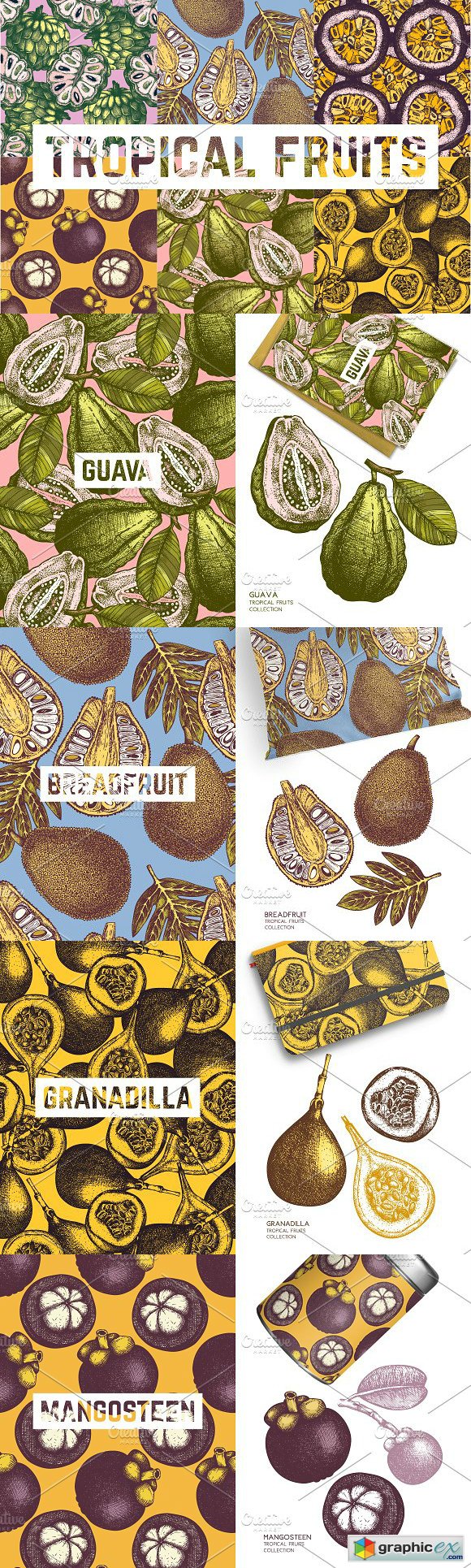 Tropical Fruits Patterns Collection