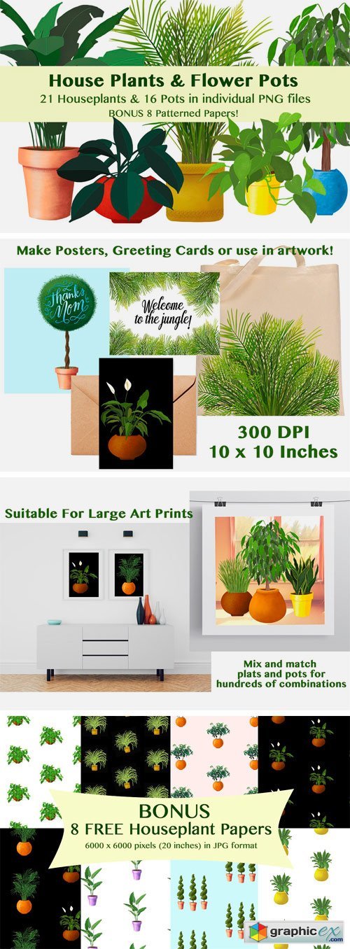 House Plants and Flower Pots + Bonus