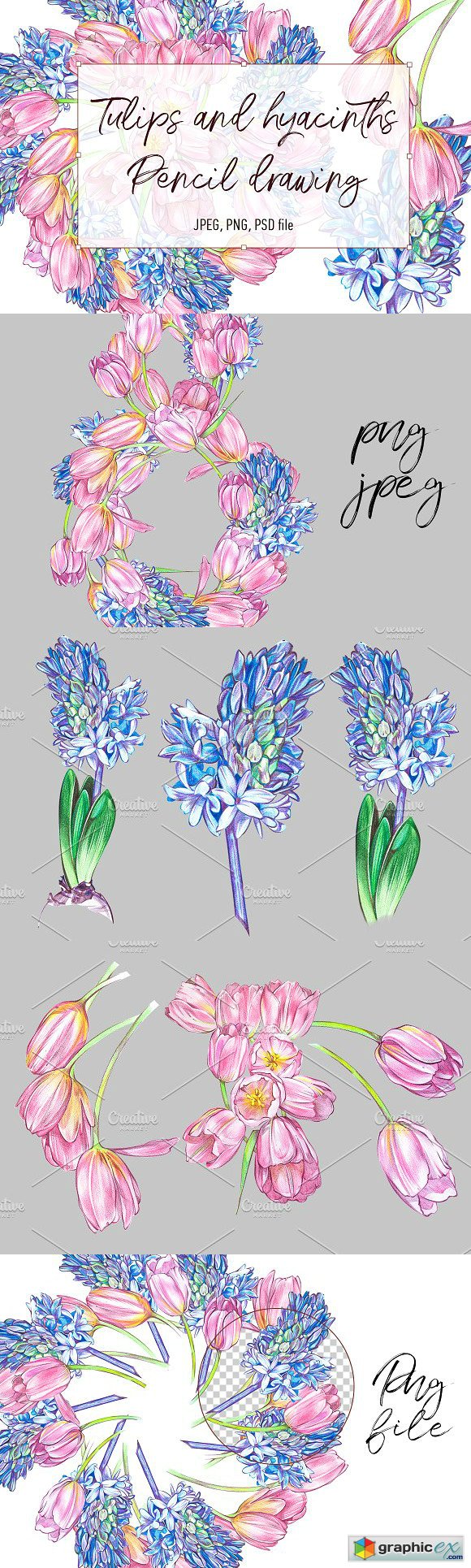 Tulips and hyacinths