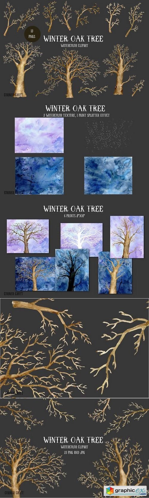 Watercolor Clipart Winter Oak Tree