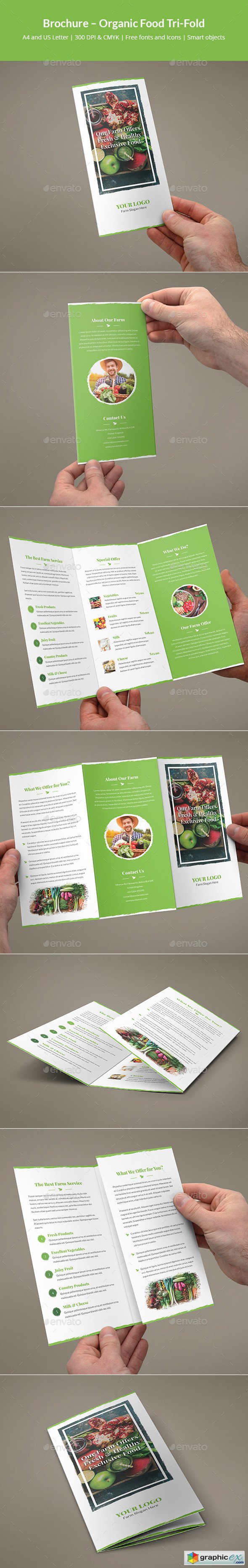 Brochure  Organic Food Tri-Fold