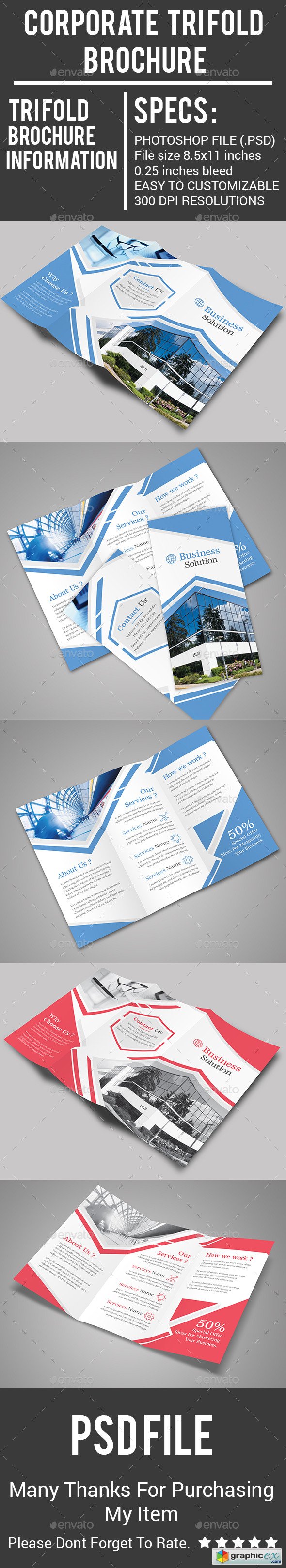 Corporate TriFold Brochure 20037213