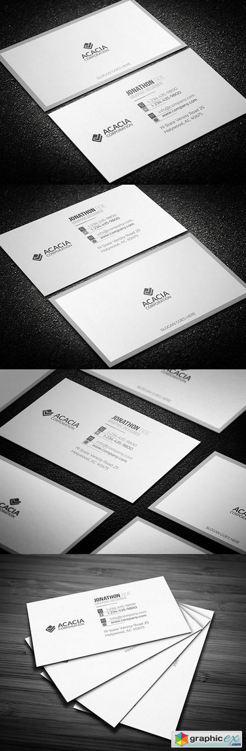 Simple Business Card 795206