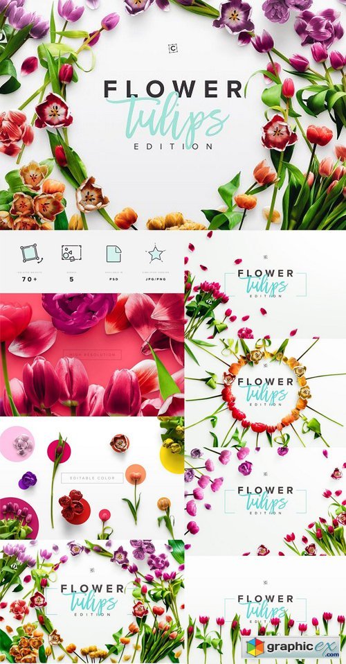 Flower Tulips Edition - Custom Scene