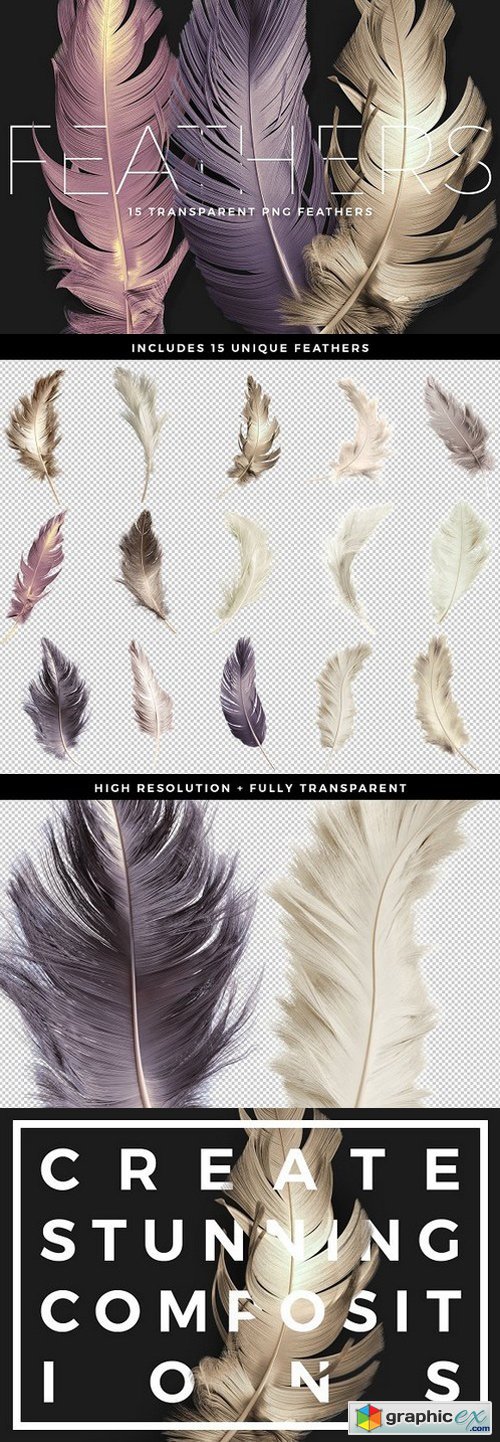 Transparent PNG Feathers Pack