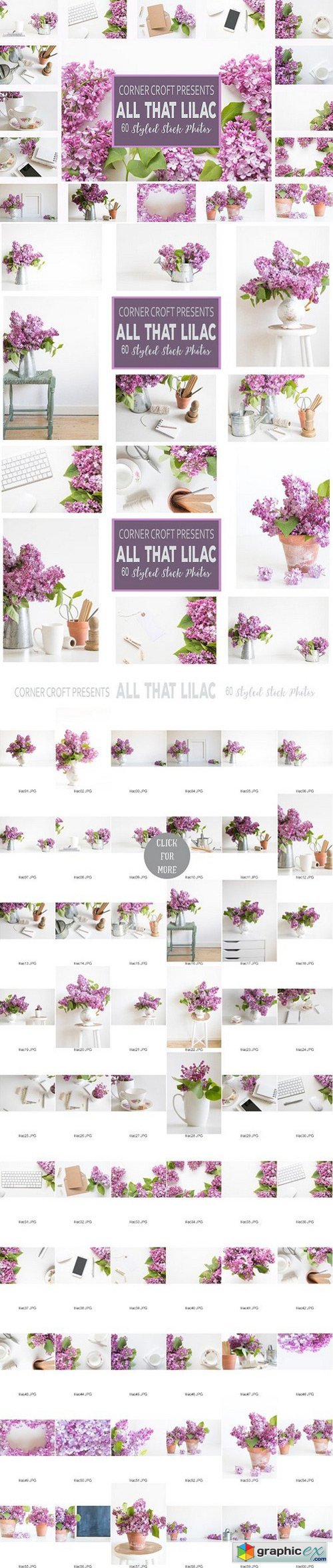 Lilac Styled Stock Photo Bundle