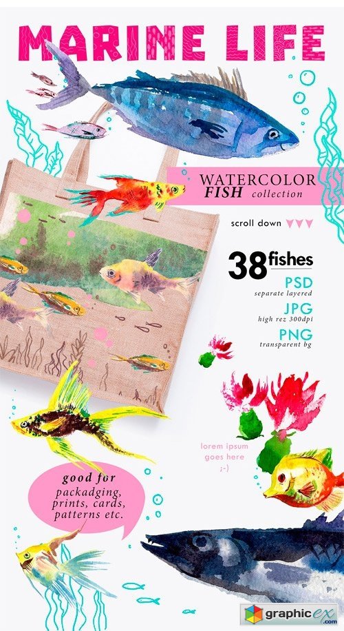 38 Watercolor Fishes
