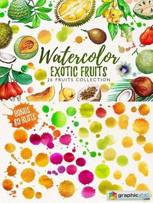 Watercolor fruits vol. 6