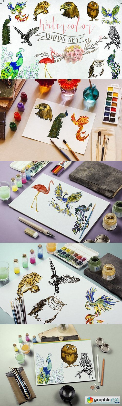 Watercolor birds set