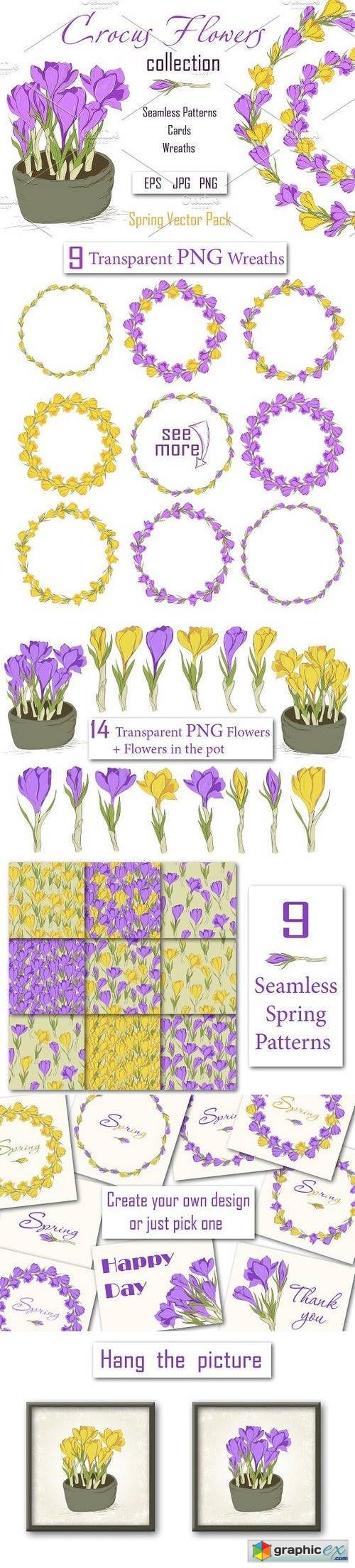 Crocus. Spring Flowers collection