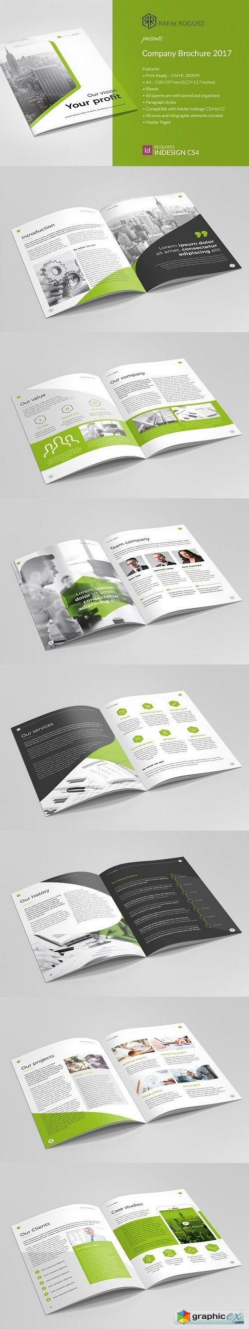 Company Brochure 2017