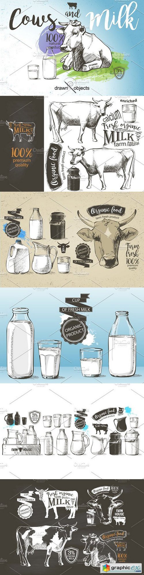 Cows and Milk. Hand drawn Vector set