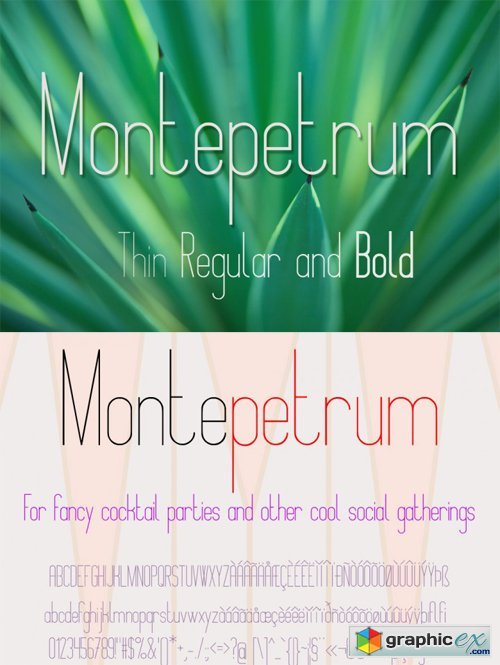 Montepetrum Font with 3 Weights