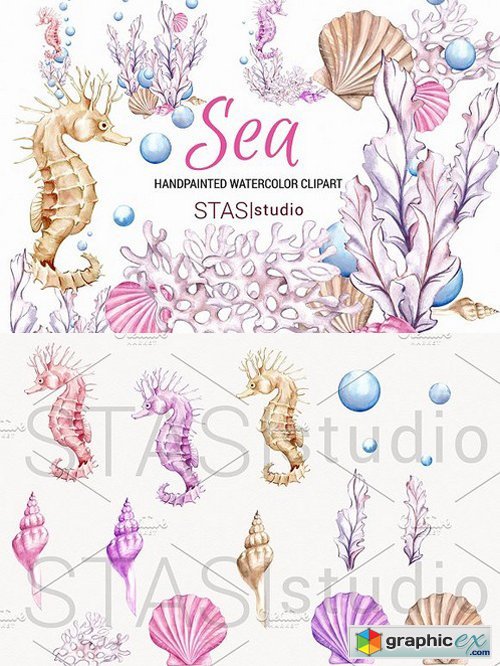 Ocean Watercolor Clipart Seahorse