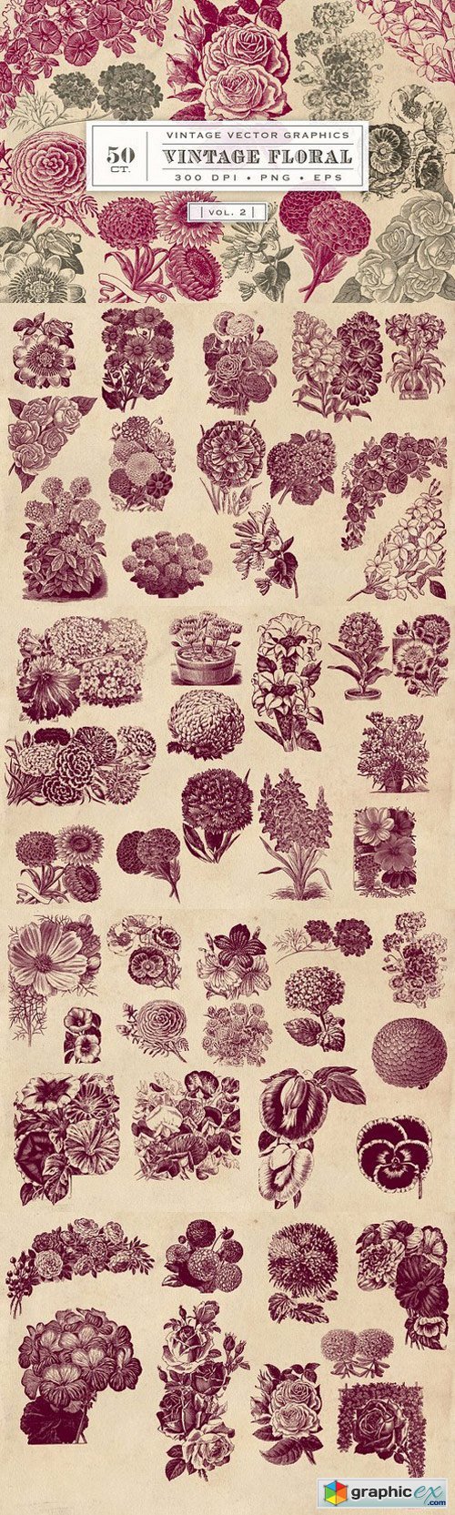 Vintage Flower Vector Graphics 2