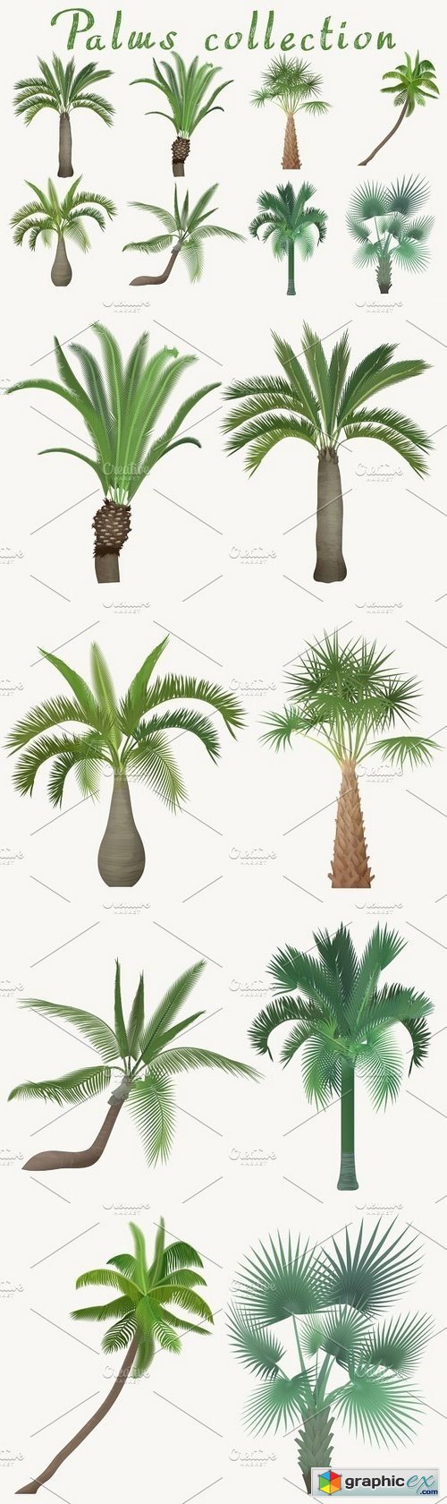 Exotic tropical realistic palm tree
