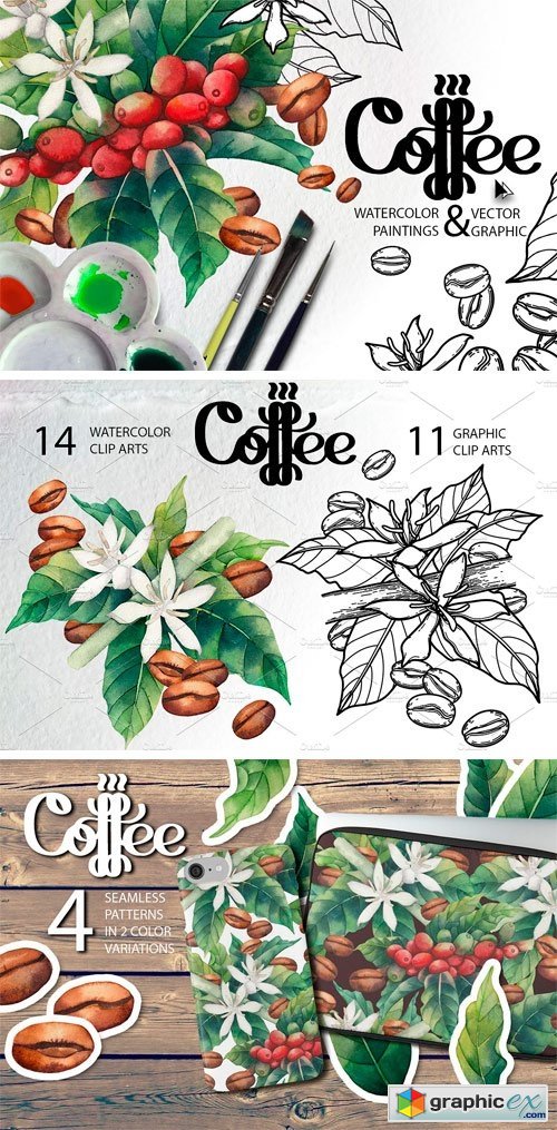 Watercolor and Graphic Coffee Plants