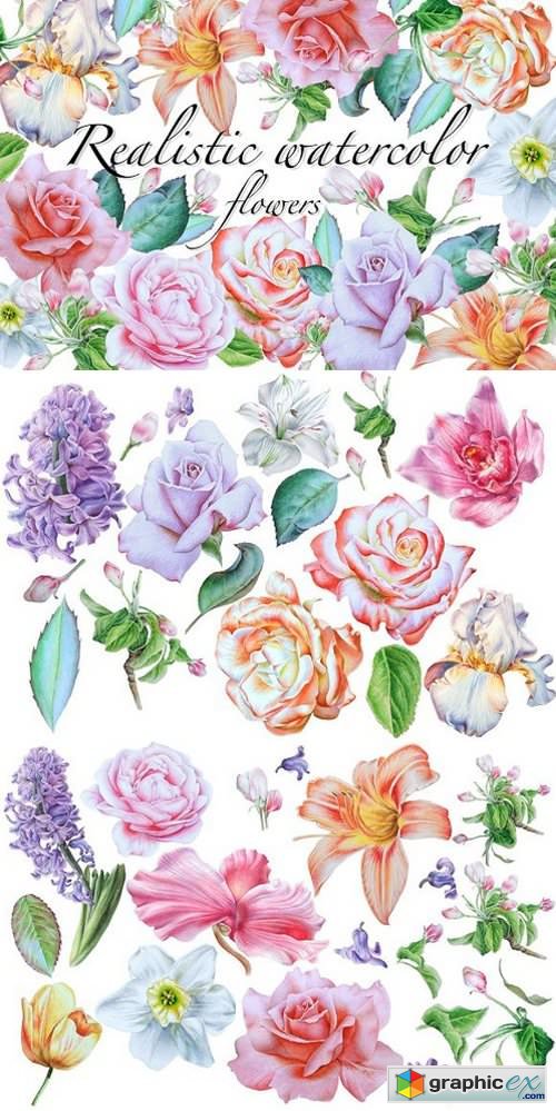 Realistic watercolor flowers