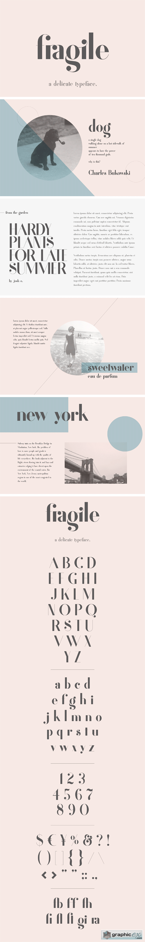 Fragile - A Delicate Typeface