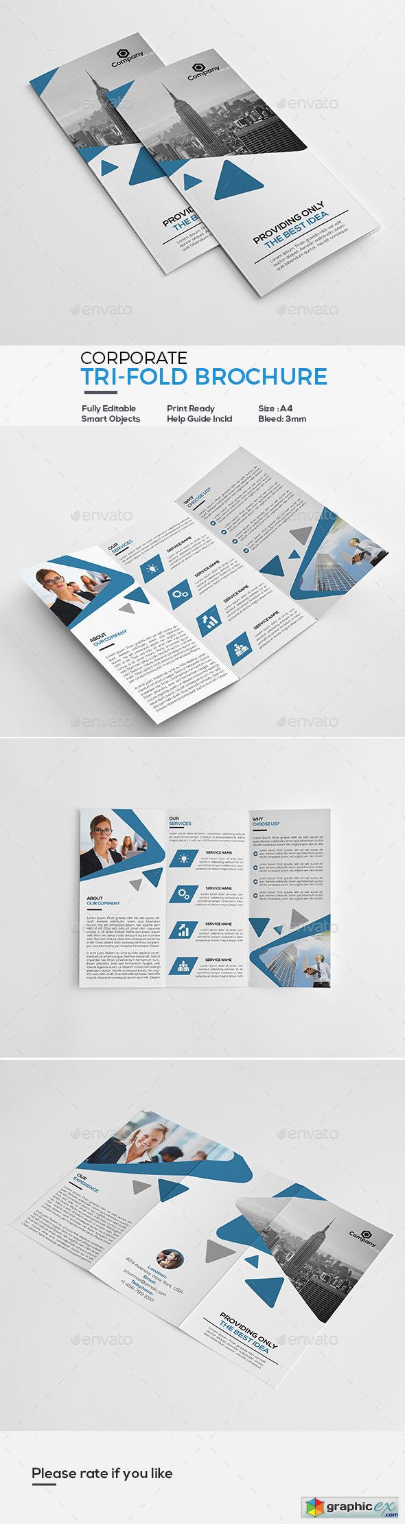 Corporate Tri-Fold Brochure 20339308