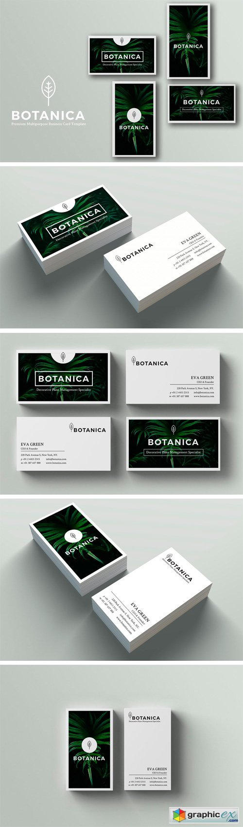 BOTANICA Business Card Template